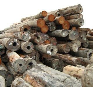 #1 Selangan Batu Wood Supplier/Exporter Worldwide