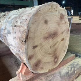 African Ovangkol Wood: Best Quality Logs with Worldwide Shipping