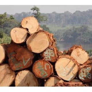 Black Limba (Frake) Wood Logs Supplier, Exporter, Wholesaler