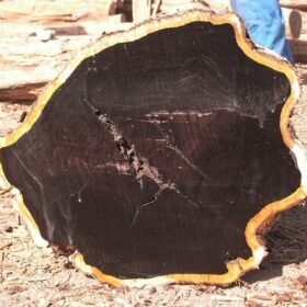 Ebony (Black Ebony) Wood Logs Suppliers, Wholesalers, Exporters