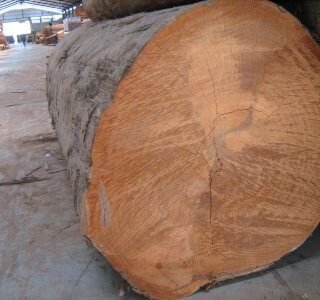 Good Quality Iron Wood Logs Supplying At Wholesale Prices