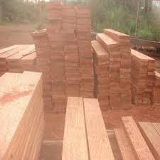 High-Quality Bubinga Timber For Sale at Affordable Price