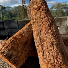 High-Quality Buloke Wood For Sale at Lowest Price