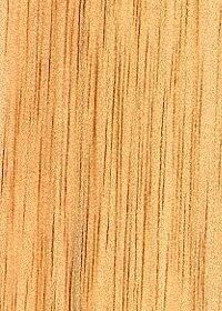 Ilomba Timber Buy Online at the Lowest Price with Worldwide Shipping