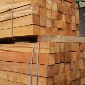 Pachyloba Wood Log | Afzelia Pachyloba Wood Log Exporter