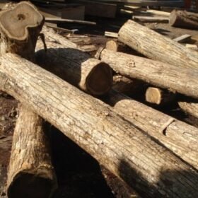 Premium Bocote Wood for Sale Online at Affordable Price