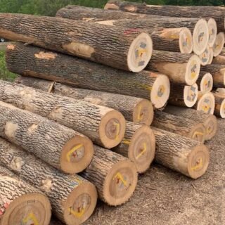 Premium Garapa Wood for Sale at Best Price Online