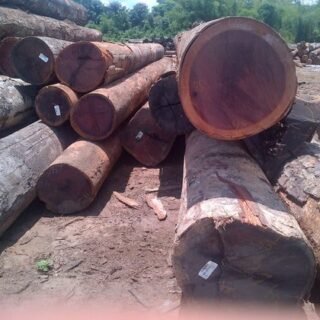 Trusted Zebrano Wood Suppliers, Exporters & Wholesaler